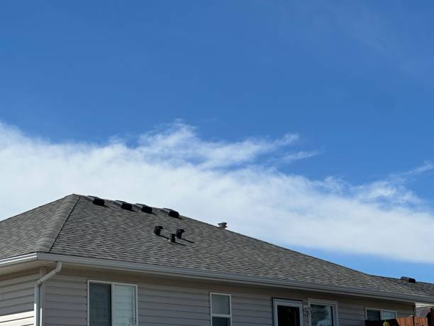 Best Roof Maintenance and Cleaning  in North Babylon, NY